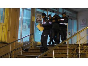 Jandarmadan Hayvan Hırsızlığı Operasyonu: 1 Tutuklu