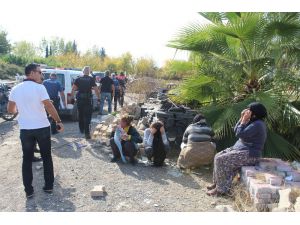 Koyun Çaldılar, "Sünnet Düğünü Yapacaktık" Dediler