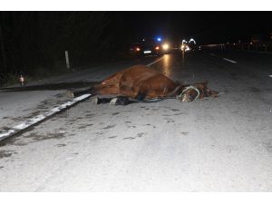 Otomobil Ata Çarptı: 2 Yaralı