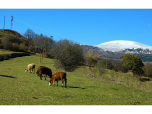 Doğu’da Soğuk Hava