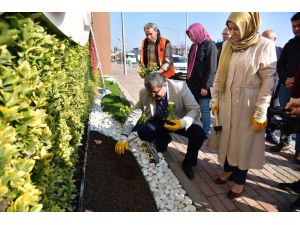 Bilecikliler Günü’nde 11 Bin 111 Çiçek Toprakla Buluştu