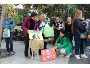 Hayvanseverlerden Yeni Yasa Tasarısına Tepki