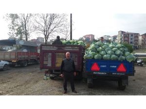 Kaynarca Lahanası Pazara İndi