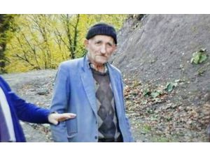 Yaşlı Adam Fındık Bahçesinde Tüfekle Öldürüldü
