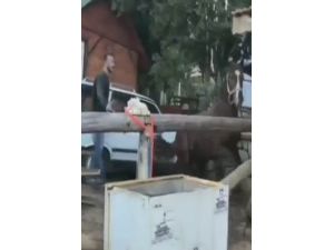 Ata Kamçı Benzeri Sopa İle İşkence İddiası Kamerada