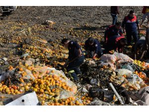 Narenciye Posası Altında Can Pazarı
