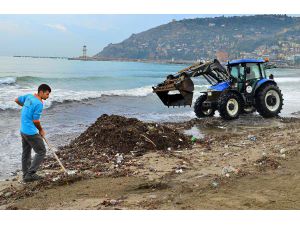 Alanya Belediyesi'nden Sahil Temizliği