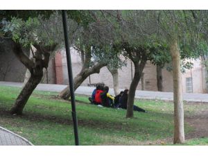 Parkta Fotoğraf Çektirdiği İçin Öldürüldü