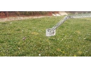 Asi Nehri’ne Yine İnek Düştü