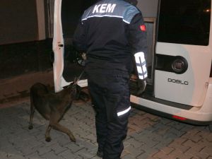 Torbacılara Şafak Operasyonu