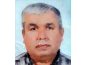 Budamaya Çıktığı Avokado Ağacından Düşüp, Öldü