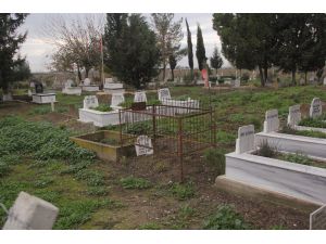 Mezarlık Yanında İntihar Girişiminde Bulundu