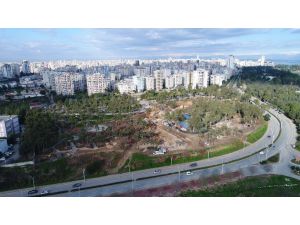 Beyazevler Çamlığı Mesire Alanı Oluyor