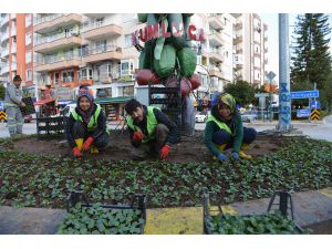 Kumluca'ya Mevsimlik Çiçek Dikimi