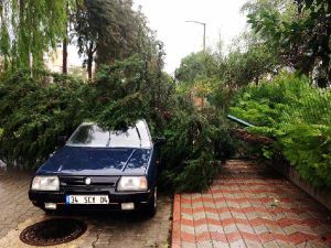 Fırtına Ve Yağmur Antalya'da Hasara Neden Oldu (2)
