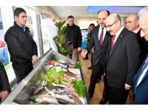 "Balık Karataş’tan Alınır" Projesi Tanıtıldı