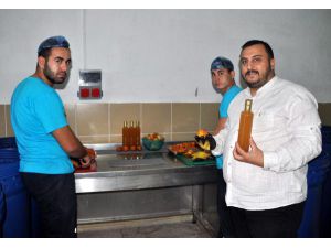 Kaynanadili Meyvesinden Kaktüs Sirkesi Üretti