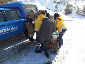 Jandarma, Yaşlı Hastayı 2 Kilometre Sedyede Taşıdı