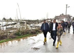 Başkan Uysal, Hasar Gören Yerleri İnceledi