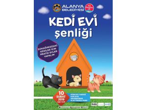 Alanya'da Kedi Evi Şenliği