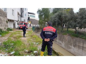Derede Mahsur Kalan Tavuğu İtfaiye Kurtardı