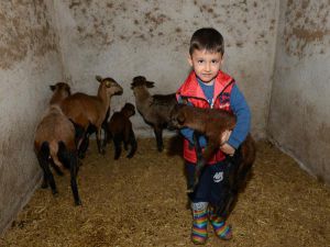 Sarnıç Tepe'de 12 Yavru Dünyaya Geldi