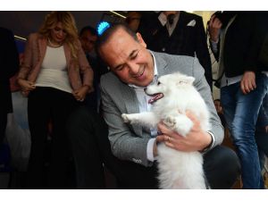 Sözlü: "Her Okul, Her Fabrika 2 Köpeği Sahiplenecek"