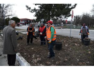’Güller Diyarı Isparta’ya 5 Milyon Gül Dikimi Hedefi
