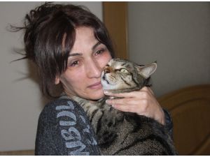 "Efe" Kedi Patisiyle Sahibini Yanmaktan Kurtardı