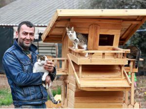 Hayvanları Korumada Emsal Karar, Ömür Boyu Hayvan Sahiplenemeyecek