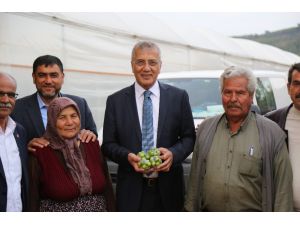 Erik Hasadı Yapan Çiftçiye Başkan Tarhan’dan Destek Ziyareti