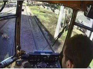 Vatman, Rayların Üzerinde Su İçen Kedi İçin Tramvayı Durdurdu