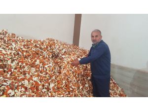 Portakalın Kilosu 1 Lira Kabuğu 6 Lira