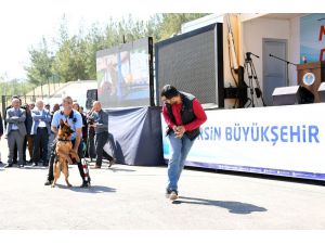 Kocamaz, Kaşlı Geçici Hayvan Bakımevi’nin Açılışını Yaptı