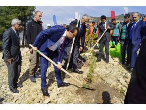 Mersin’de Adalet Ormanı Oluşturuldu