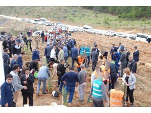 Silifke’de Adalet Ormanı Oluşturuldu