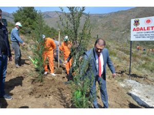 Hükümlüler Adalet Ormanı’na Fidan Dikti