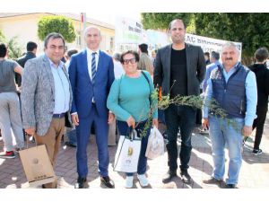 Manavgat'ta 2 Bin 600 Fidan Dağıtıldı