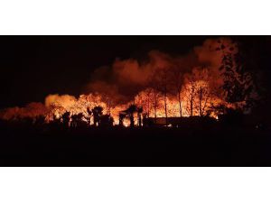 Kemer’de Orman İçindeki Çöplükte Yangın Çıktı
