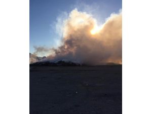 Kemer'de Orman İçindeki Çöplük Yangını Kontrol Altına Alındı