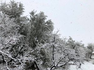 Mut’ta, Gece Başlayan Kar Yağışı Doğayı Beyaza Bürüdü