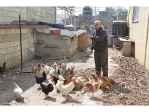 Sanayi Esnafından Organik Üretim
