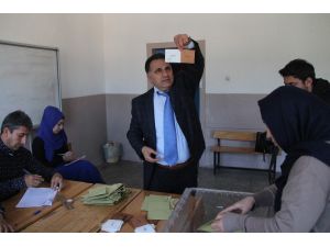 Mersin’de Seçmen Ve Sandık Sayıları Belli Oldu