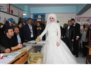 Gelin Ve Damat Salondan Önce Sandığa Gitti