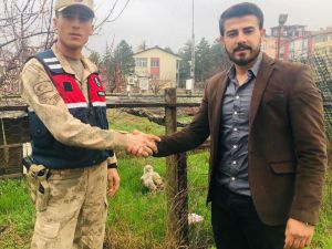 Jandarmadan Yaralı Kartala Şefkat Eli
