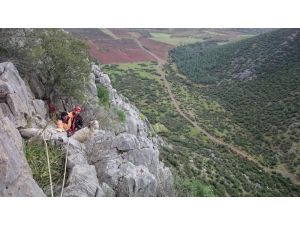 Dağda Mahsur Kalan Keçileri Afad Kurtardı