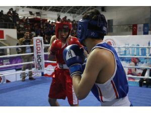 Genç Erkekler Türkiye Ferdi Boks Şampiyonası Mersin’de Başladı