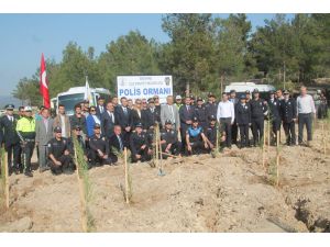 Fidanlar Toprakla Buluştu