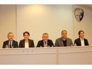 Kleopatra Koyu İhalesine Yürütmeyi Durdurma Kararı