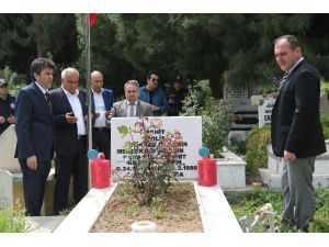 Başkan Tollu Şehitliği Ziyaret Etti